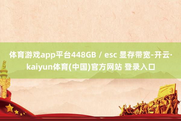 体育游戏app平台448GB / esc 显存带宽-开云·kaiyun体育(中国)官方网站 登录入口