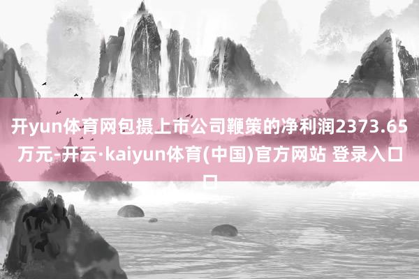 开yun体育网包摄上市公司鞭策的净利润2373.65万元-开云·kaiyun体育(中国)官方网站 登录入口