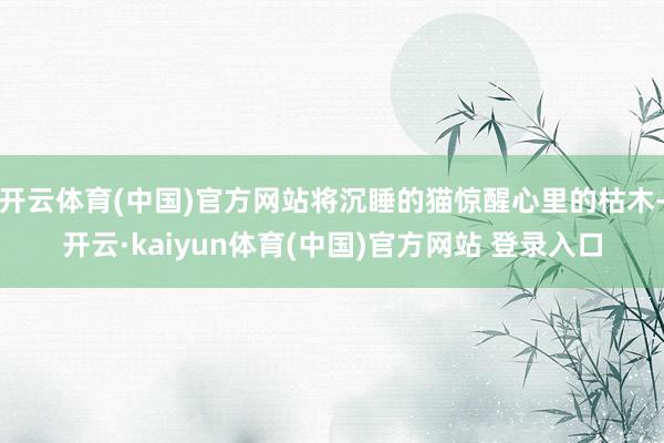 开云体育(中国)官方网站将沉睡的猫惊醒心里的枯木-开云·kaiyun体育(中国)官方网站 登录入口
